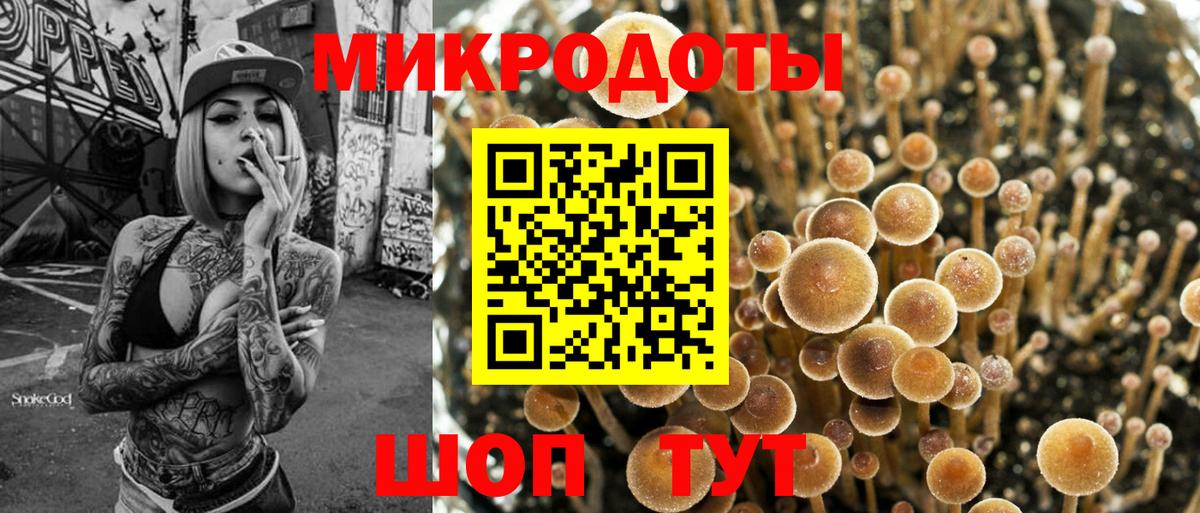 Архангельск  Псилоцибиновые грибы GOLDEN TEACHER  Вход с VPN 
